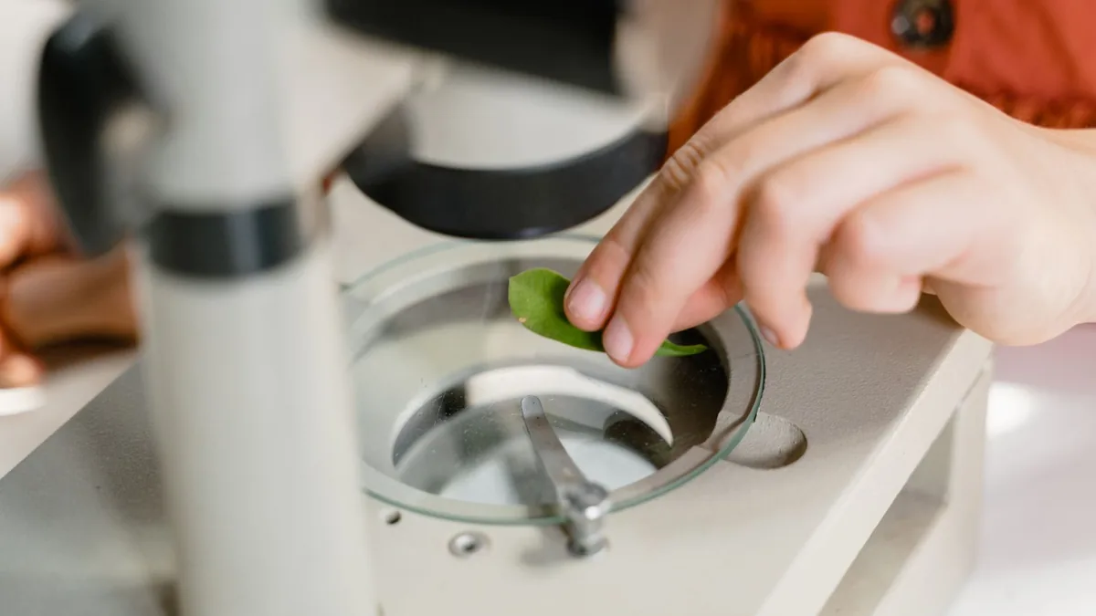 A close-up shot showing a hand placing a leaf under a microscope for scientific study.